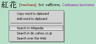 popup menu in the phonetic dictionary Web-search options